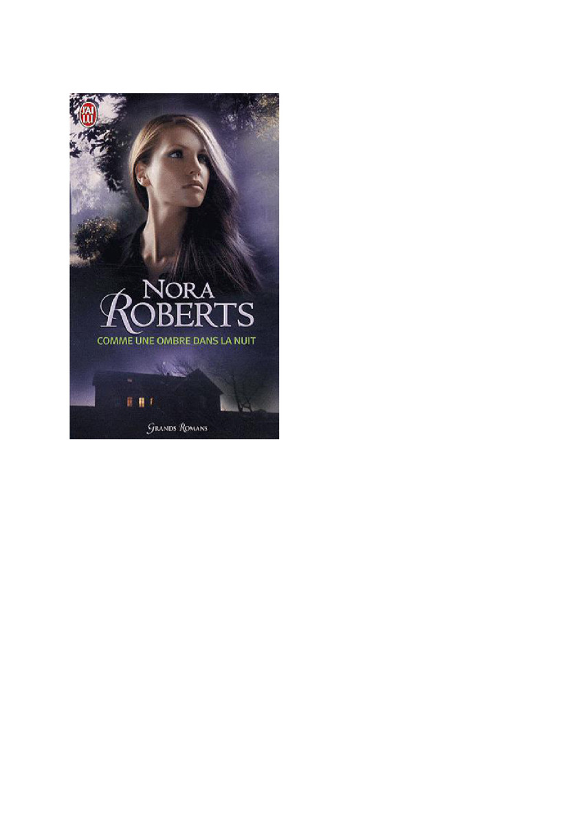 Comme une ombre dans la nuit