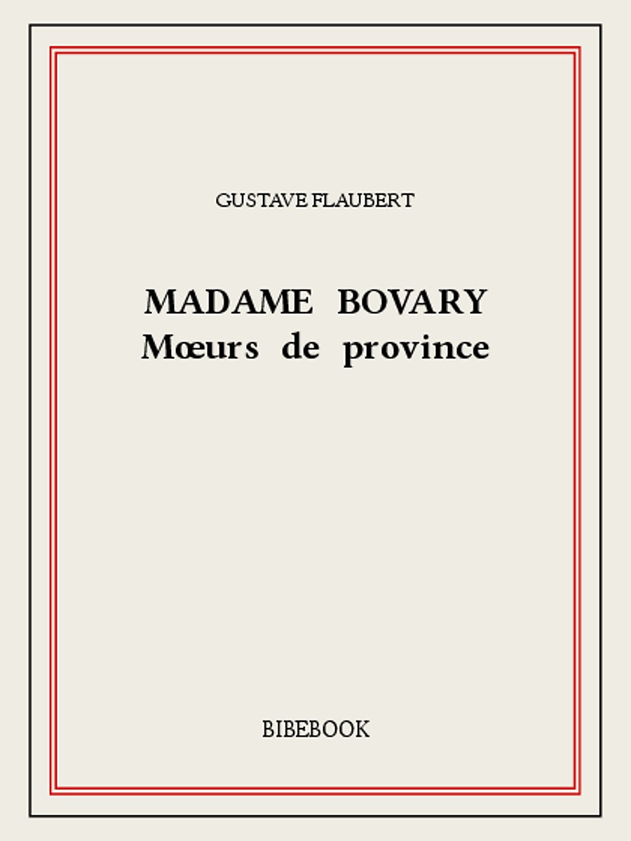 Madame Bovary — Mœurs de province